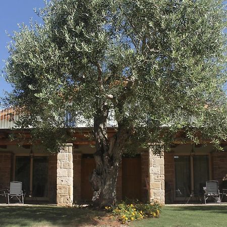 Casal Lluent Bed and Breakfast Alghero Exteriör bild